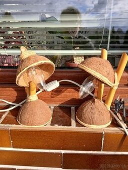 Predam  kokosové  lampicky.