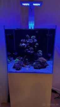 Blau SET MARINE Gran Cubic 62 Experience (White)