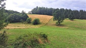 Pozemok - Horný Pajer, okres Žarnovica, 1784 m2
