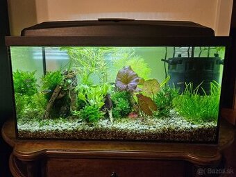 Akvárium 60l