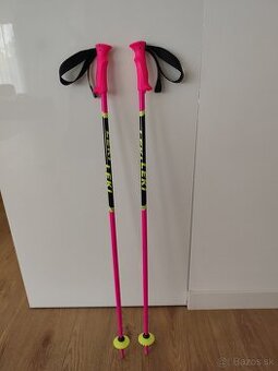 Lyžiarske palice Leki