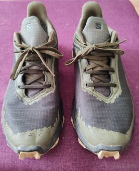 Salomon alphacross 4 GTX