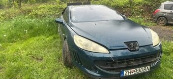 Peugeot 407 coupe