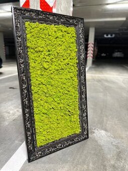 Machovy obraz  starozitny