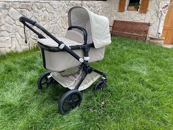 Bugaboo fox
