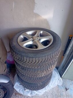 175 65 R14 celorcne