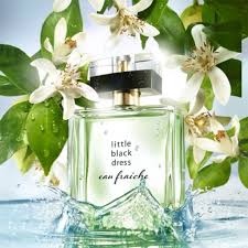 Little Black Dress Eau Fraiche 50 ml