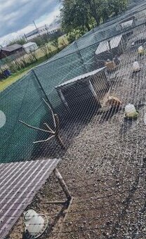 Predám siete na voliere