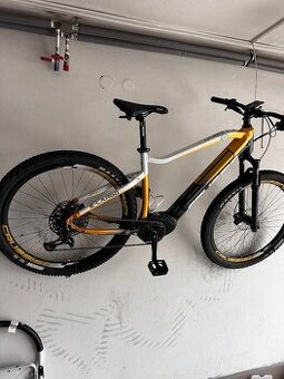 Ptredam e-bike Crussis