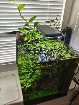 Akvárium 30l - Invital