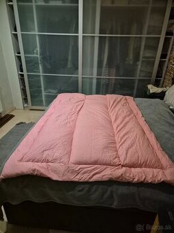 Paplón (ručne párané husacie perie)