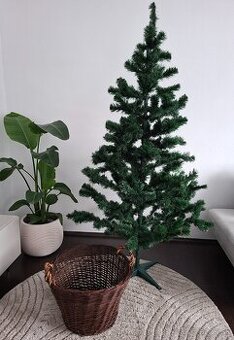Vianočný stromček, výška 2 m