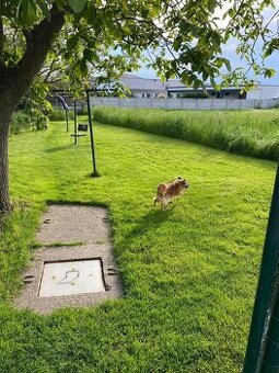 Krásny pozemok 675 m2.Chorvátsky grob.