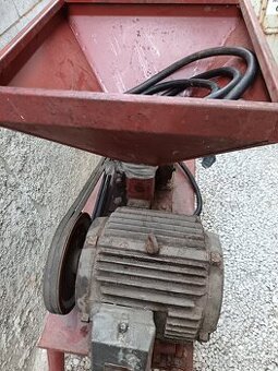 Kladivkovy srotovnik