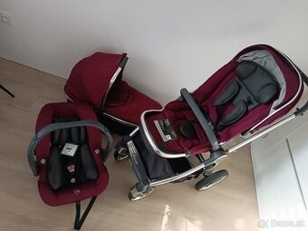 Oyster babystyle 3 cherry