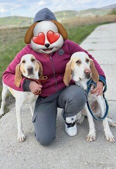 Porcelaine s PP