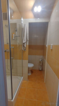 Predam garsonku, garsonka, garzonka