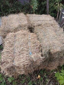 Predám male hranaté baliký sena 60x50x35CM