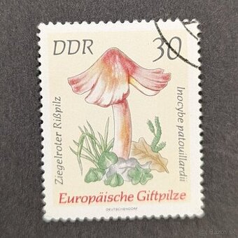 DDR 30 Pf 1982 Europäische Giftpilze gestempelt