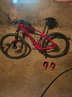 Specialized Rockhopper comp 29