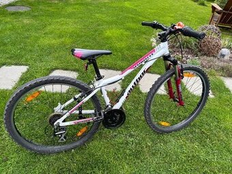 detsky bike Author 26
