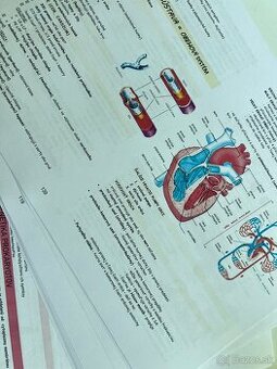 Maturita / prijmacky bio, fyz, chcem