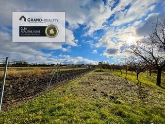 Na predaj pozemok s ovocným sadom v Skalici - Vysoké Pole