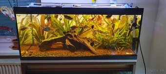 Predám akvárium 140l 90x40x40