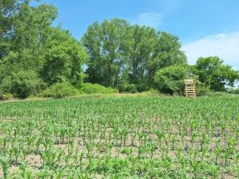 3460m2 pozemok Veľká Paka