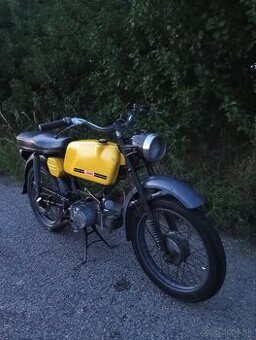 Jawa mustang