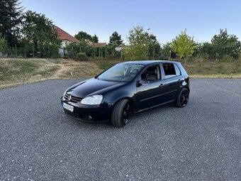 Volkswagen golf 1.9 tdi 77kw DSG
