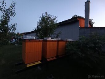 Včely a vybavenie