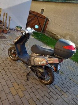 TGB 50