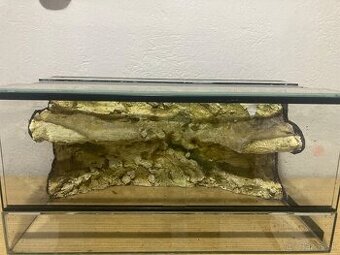 Terárium 50x25x25