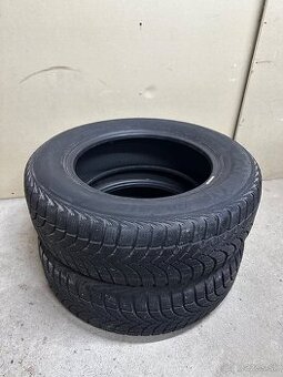 Zimné pneu DAYTON 195/65 R15 2ks