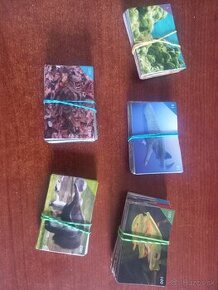 Nálepky Animal Kingdom - pridané nové