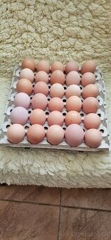 Domáce vajcia