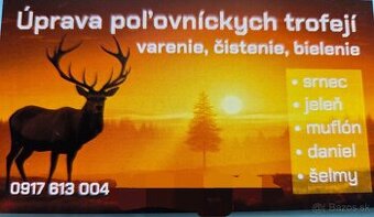 Poľovnícke trofeje