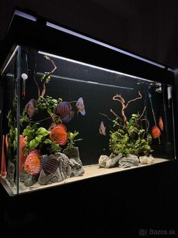455l Akvarium