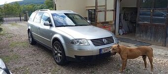 Passat B5.5