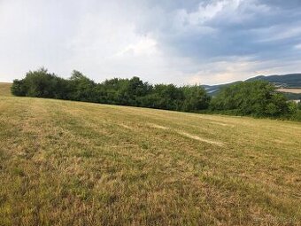 Predam pozemok Moravske Lieskove 5600m2