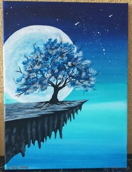 Obraz akryl  30x40