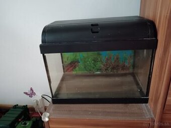 Akvarium