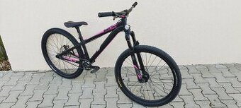 DEMA Befly Custom