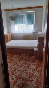 Prenajmem izbu