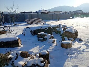 Palivové suché drevo