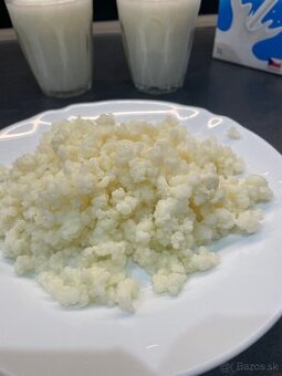 kefírové zrná (Tibetská huba)