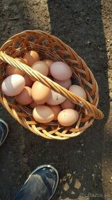 Slepačie-domace Vajíčka poctivé 30kus