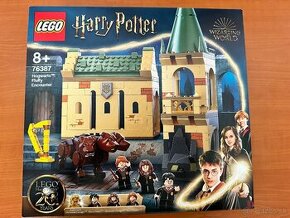 LEGO Harry Potter Stretnutiens Chlapáčikom 76387nové
