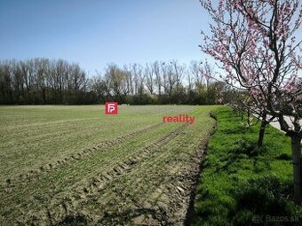 INVESTIČNÁ PRÍLEŽITOSŤ – Pozemok 9 202 m² na okraji obce